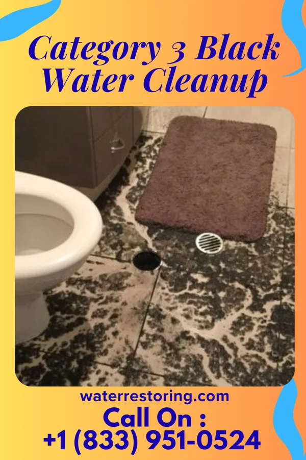 Category 3 Black Water Cleanup in Hurstbourne Acres, KY